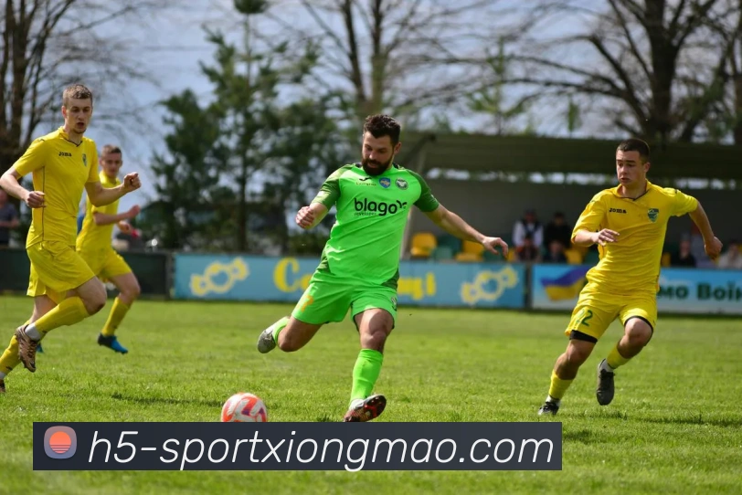 熊猫体育品牌故事